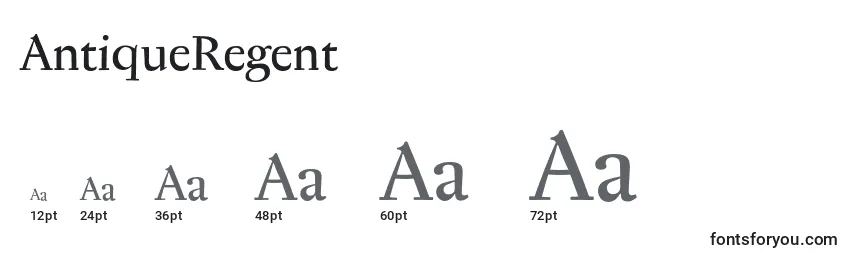 AntiqueRegent Font Sizes