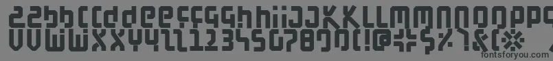 BauahausBlack Font – Black Fonts on Gray Background