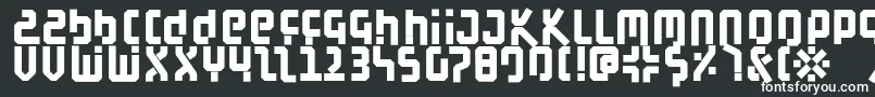 BauahausBlack Font – White Fonts on Black Background