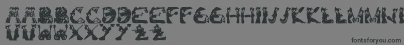 KamiGeishaFont Font – Black Fonts on Gray Background