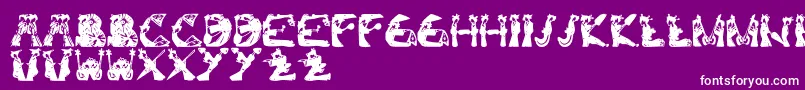 KamiGeishaFont Font – White Fonts on Purple Background