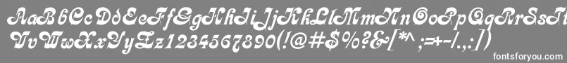 フォントAsessorc – 灰色の背景に白い文字