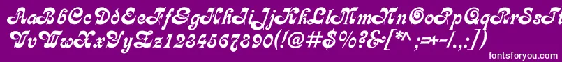 Asessorc Font – White Fonts on Purple Background