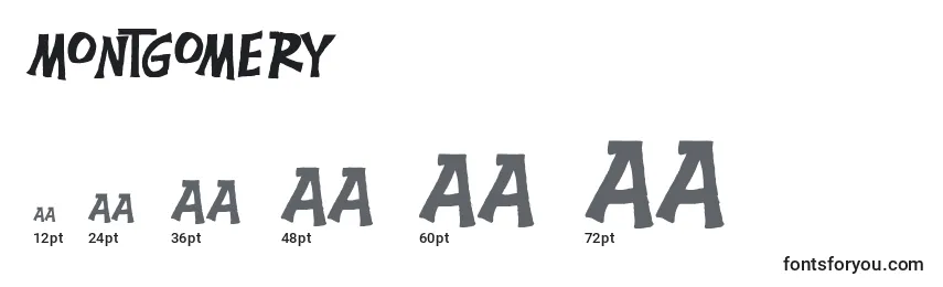 Montgomery Font Sizes
