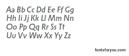 SolperamediumosfItalic Font