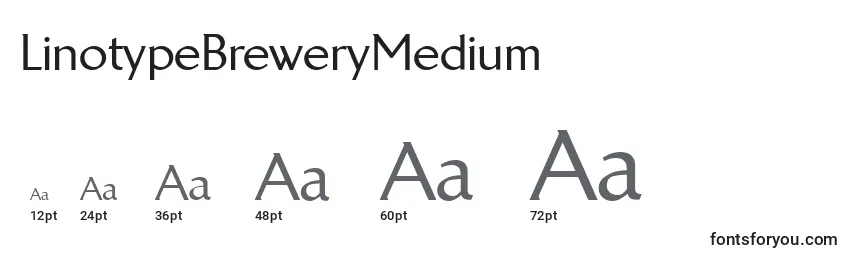 Размеры шрифта LinotypeBreweryMedium