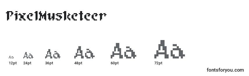 Размеры шрифта PixelMusketeer