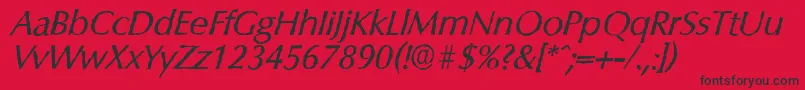 ColumbiaantiqueItalic Font – Black Fonts on Red Background