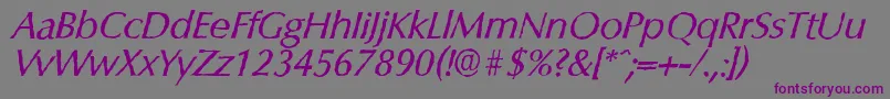 Шрифт ColumbiaantiqueItalic – фиолетовые шрифты на сером фоне