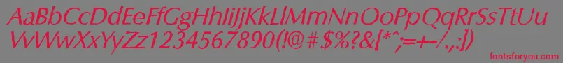 フォントColumbiaantiqueItalic – 赤い文字の灰色の背景