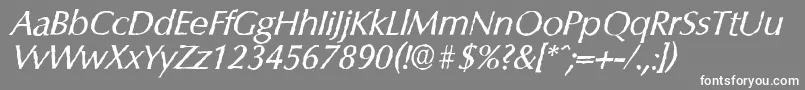 ColumbiaantiqueItalic-fontti – valkoiset fontit harmaalla taustalla