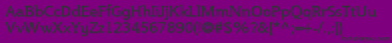 SteinemUnicode Font – Black Fonts on Purple Background