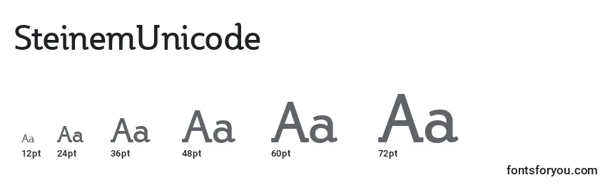 SteinemUnicode Font Sizes