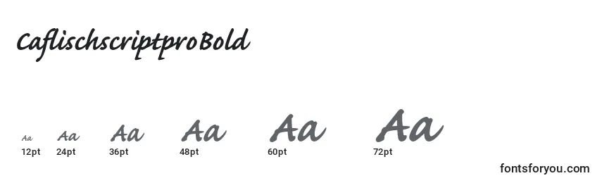CaflischscriptproBold Font Sizes