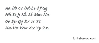 CaflischscriptproBold Font