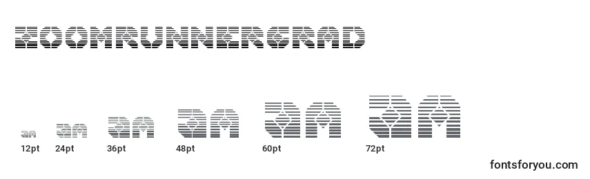 Zoomrunnergrad Font Sizes