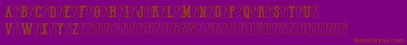 HotNationalTeamDemo Font – Brown Fonts on Purple Background