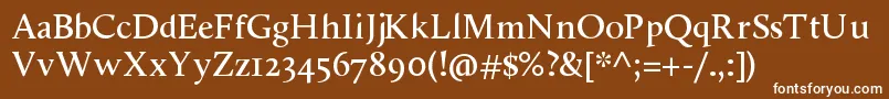 ShancallunaRegular Font – White Fonts on Brown Background