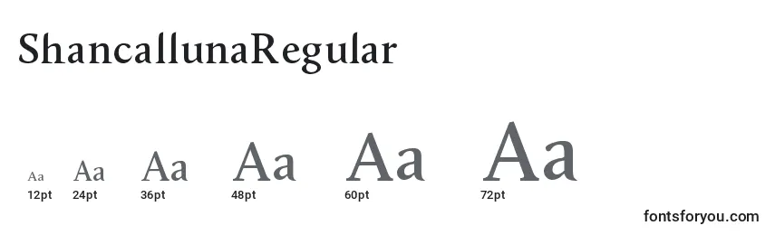 ShancallunaRegular font sizes