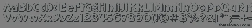 フォントSanasoftShadow.Kz – 黒い文字の灰色の背景