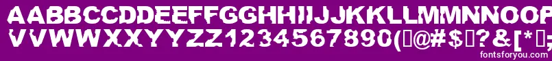 Ateupwithdumbass Font – White Fonts on Purple Background