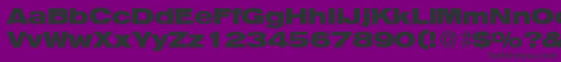 HegelextendedBoldDb Font – Black Fonts on Purple Background