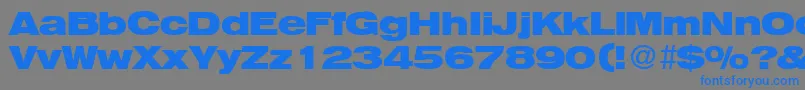 HegelextendedBoldDb Font – Blue Fonts on Gray Background
