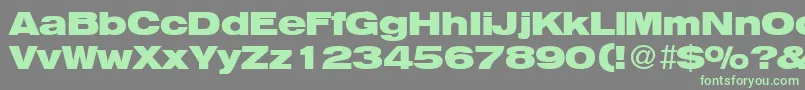 HegelextendedBoldDb Font – Green Fonts on Gray Background