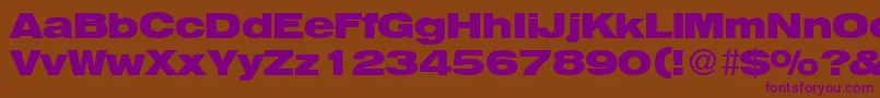 HegelextendedBoldDb Font – Purple Fonts on Brown Background