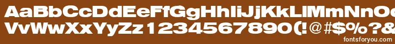 フォントHegelextendedBoldDb – 茶色の背景に白い文字