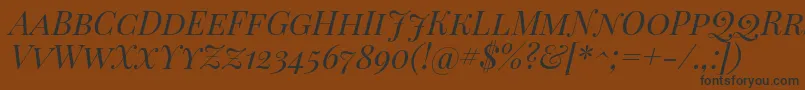 PlayfairDisplayScItalic Font – Black Fonts on Brown Background