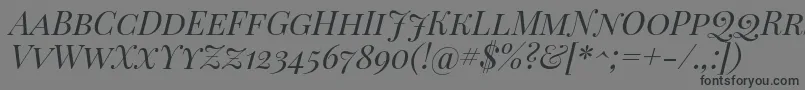 PlayfairDisplayScItalic Font – Black Fonts on Gray Background