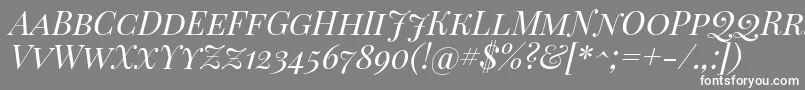 PlayfairDisplayScItalic Font – White Fonts on Gray Background