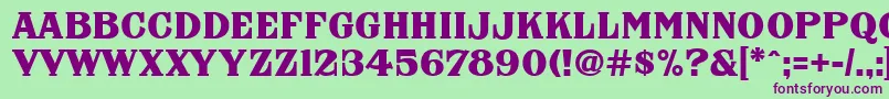 FhaNicholsonFrenchNcv Font – Purple Fonts on Green Background