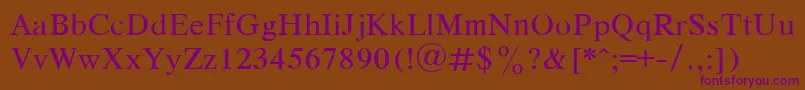 DutchRegular Font – Purple Fonts on Brown Background