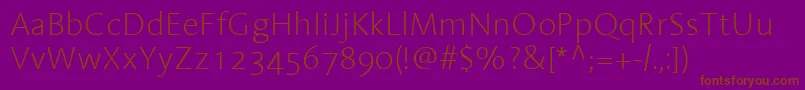 LinotypeAromaExtralight Font – Brown Fonts on Purple Background