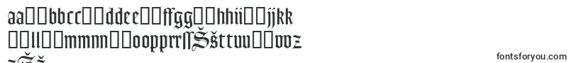 GoudyTextMtDfr Font – Latvian Fonts