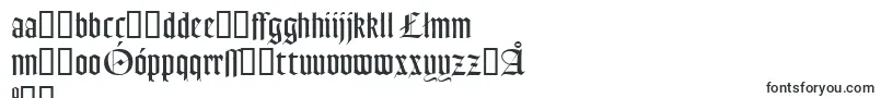 Weitere Informationen zur GoudyTextMtDfr-Schriftart GoudyTextMtDfr-Schriftart – polnische Schriften