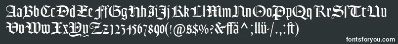 Шрифт GoudyTextMtDfr – белые шрифты