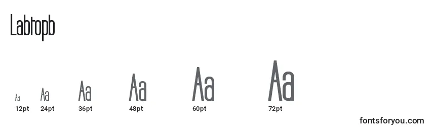 Labtopb Font Sizes