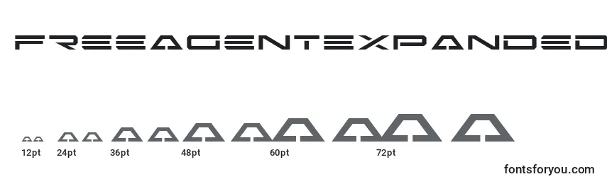 FreeAgentExpanded Font Sizes