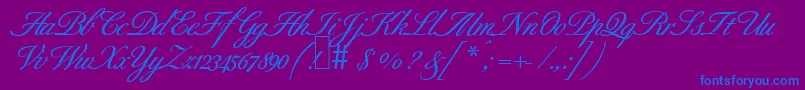 B690ScriptBold Font – Blue Fonts on Purple Background