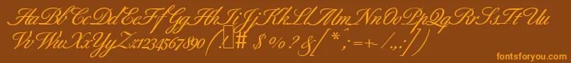 B690ScriptBold Font – Orange Fonts on Brown Background