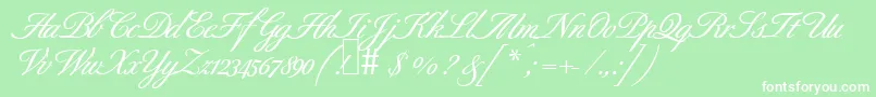 B690ScriptBold-Schriftart – Weiße Schriften auf grünem Hintergrund