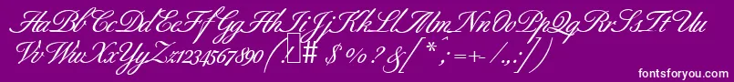 B690ScriptBold-Schriftart – Weiße Schriften auf violettem Hintergrund