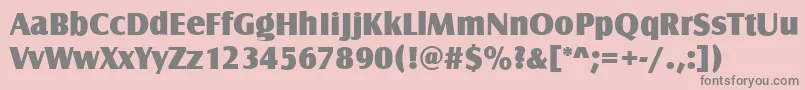 Шрифт CanossaUltraRegular – серые шрифты на розовом фоне