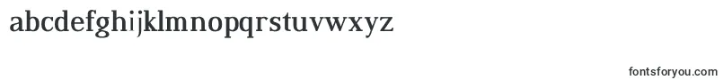 DustismoRomanBold Font – Alphabet Fonts