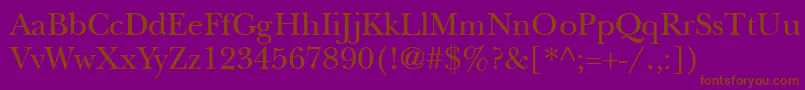 Newbaskerville Font – Brown Fonts on Purple Background