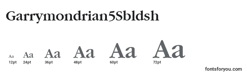 Garrymondrian5Sbldsh Font Sizes