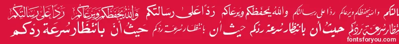 McsLetterWord4 Font – White Fonts on Red Background